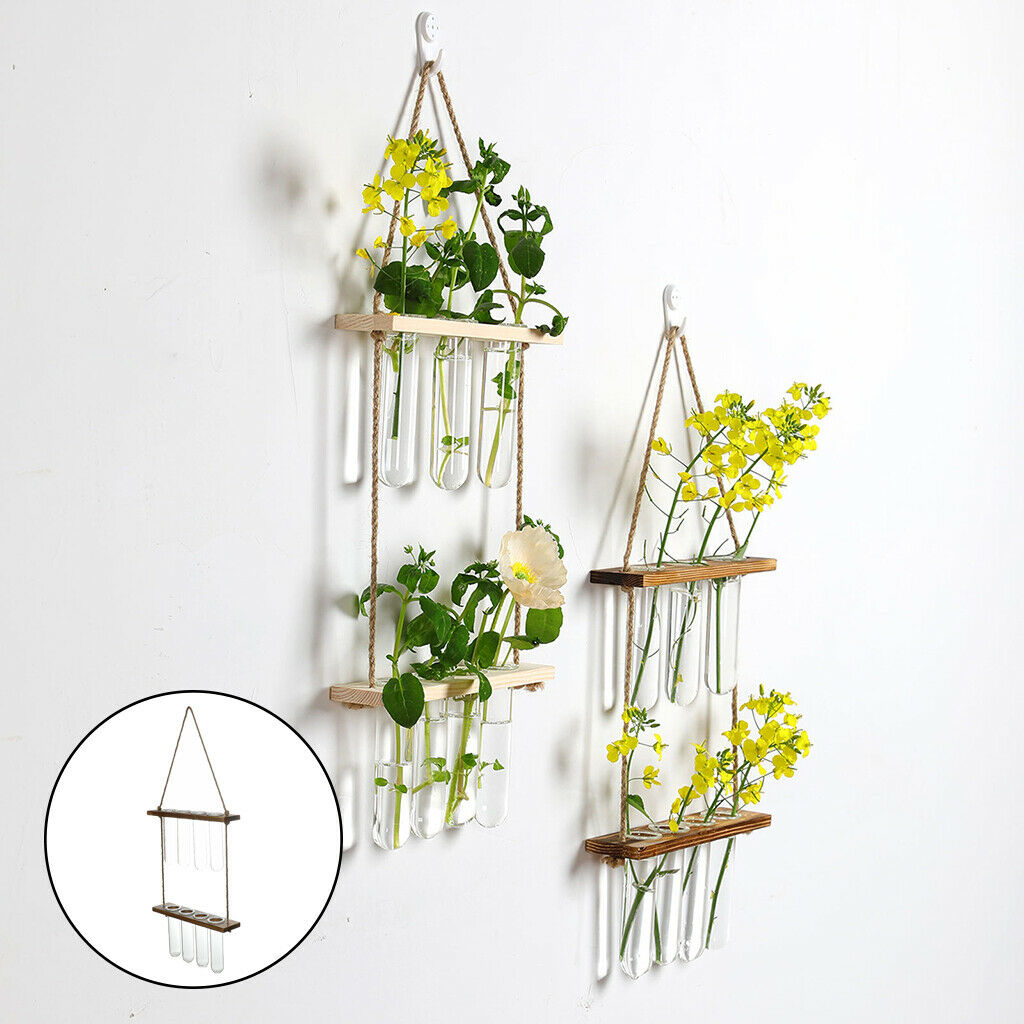 Wall Hanging Terrarium with Wooden Stand Glass Planter Propagator Hydroponic