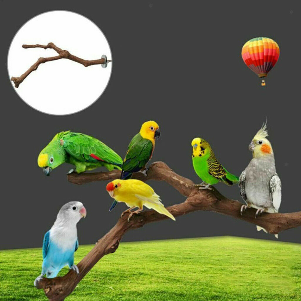 2X Wood Parrot Stand Tree Branch Toys Perches Cage Accessories Grinding A