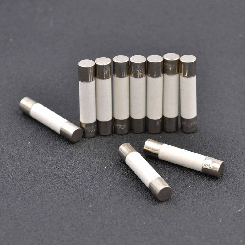 10pcs Microwave Ceramic Fuse Electric 20A 250V Home Supplies DIY 6x30mm