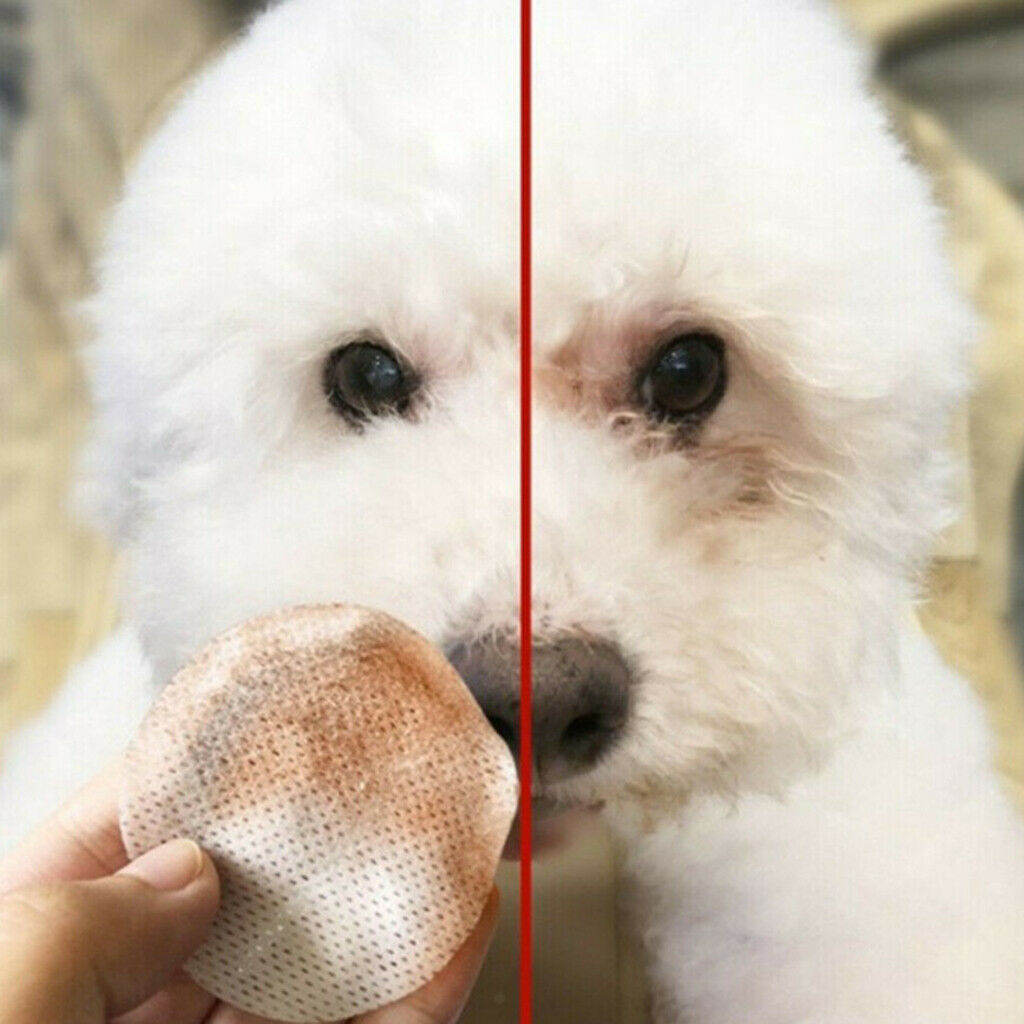 3 Boxes Soft Dog Tear Stain Remover Pet Cat Eye Cleaner Wiping Pads Eye Care