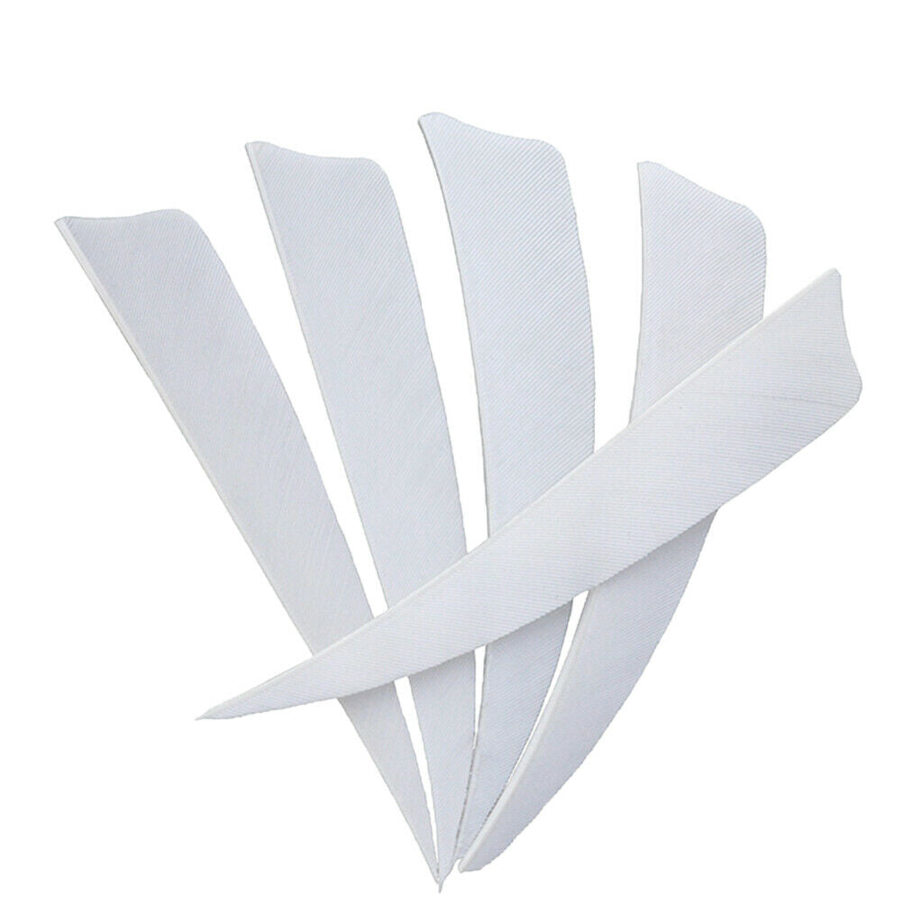 12 Pieces 4 Inch Archery Arrow Feathers Fletchings Vanes White