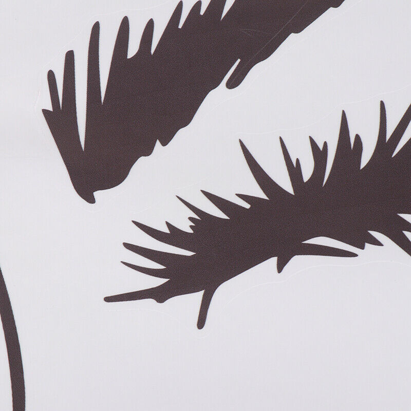 Eye Lashes Extensions Beauty Salon Wall Decor Eyebrows Make Up Wall Stick.l8