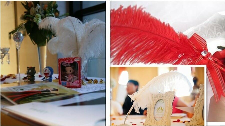 Newest Natural White Ostrich Feather 6-8inch/15-20cm 100pcs Diy Wedding Carnival