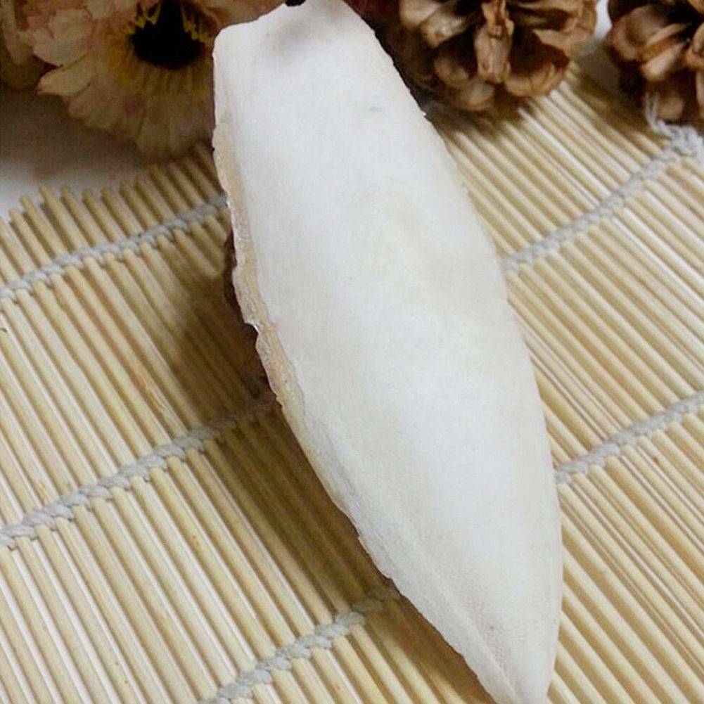 1Bag Nature Stone Cuttlefish Bone 4-5" Cuttle Fish For Reptiles Birds Tortoise !