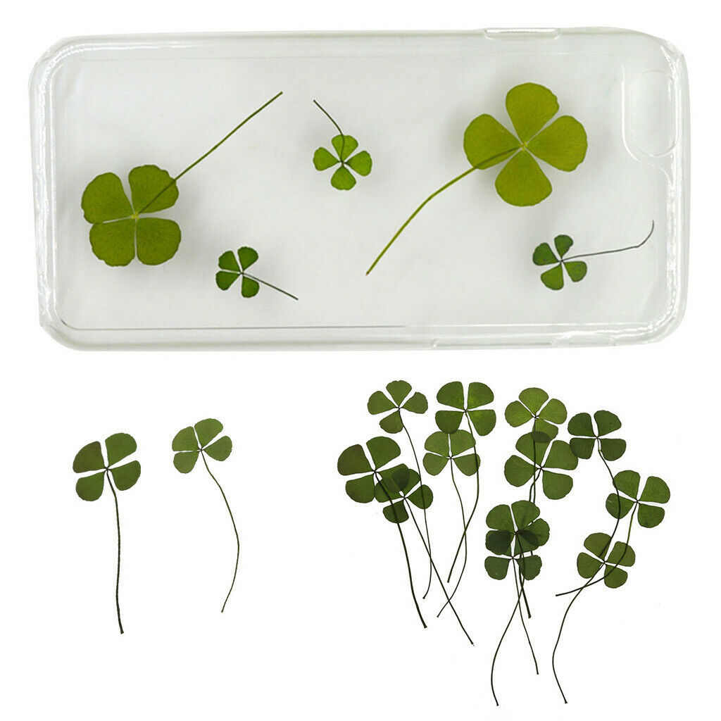 12Pcs Natrual Dried Flowers Leaves Embellishments Crafts for Phone Case