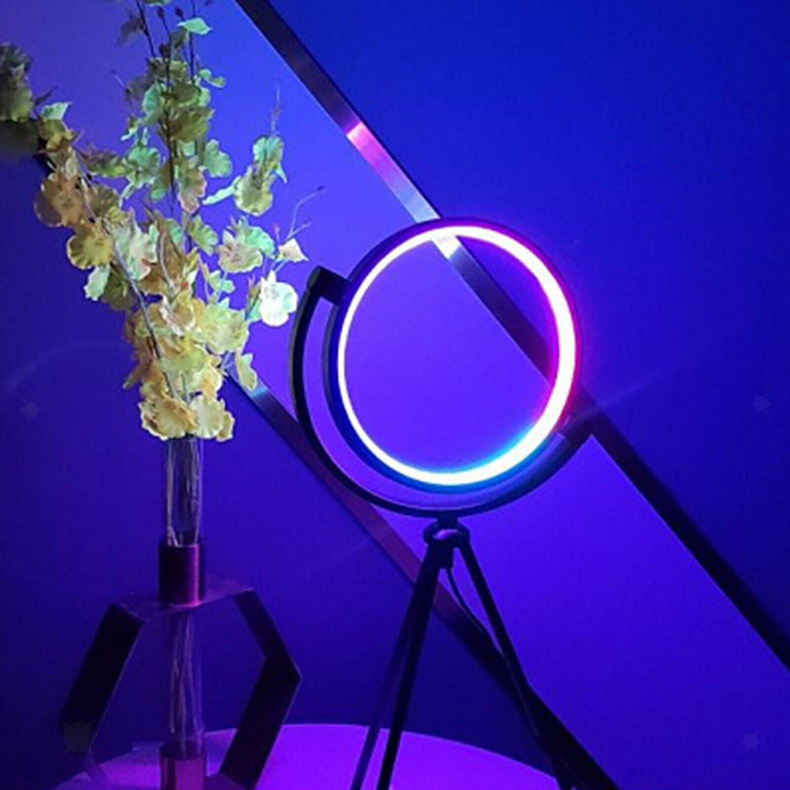 10" LED Ring Light with Stand Dimmable Desk Video Makeup Photography Makeup