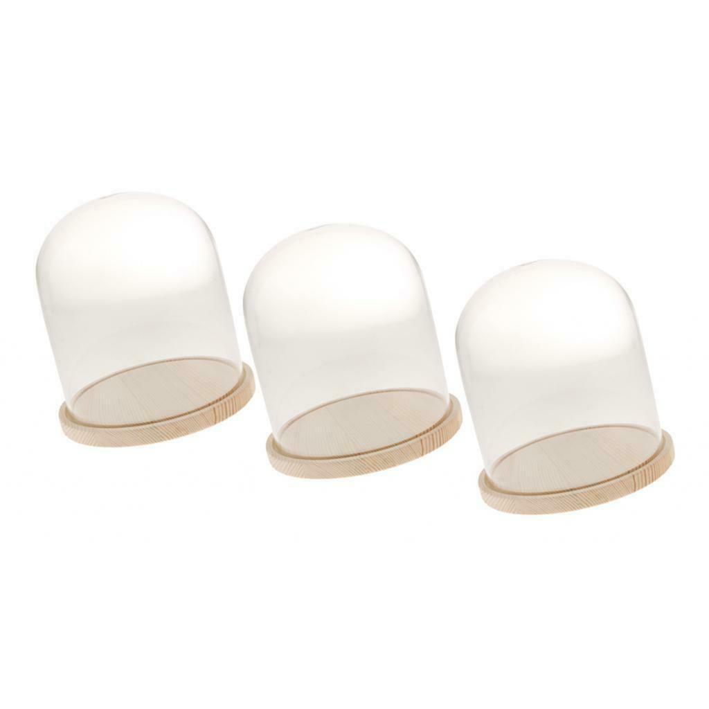 3pcs Glass Cloche with Wooden Base Retro Display Bell Jar Cover Dome 10x13cm