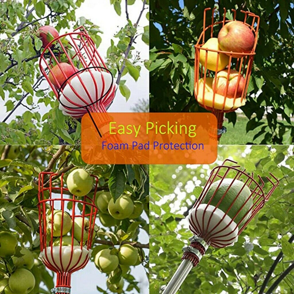 Orchards 5ft Fruit Picker Tool Stainless Height Adjustable Fruit Picker w/Basket