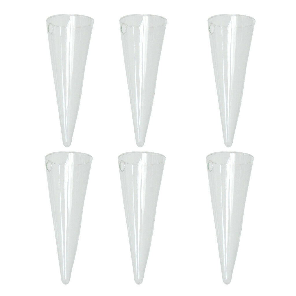 6 Pieces 16cm Glass Planter Conical Terrarium Office Living Room Decors