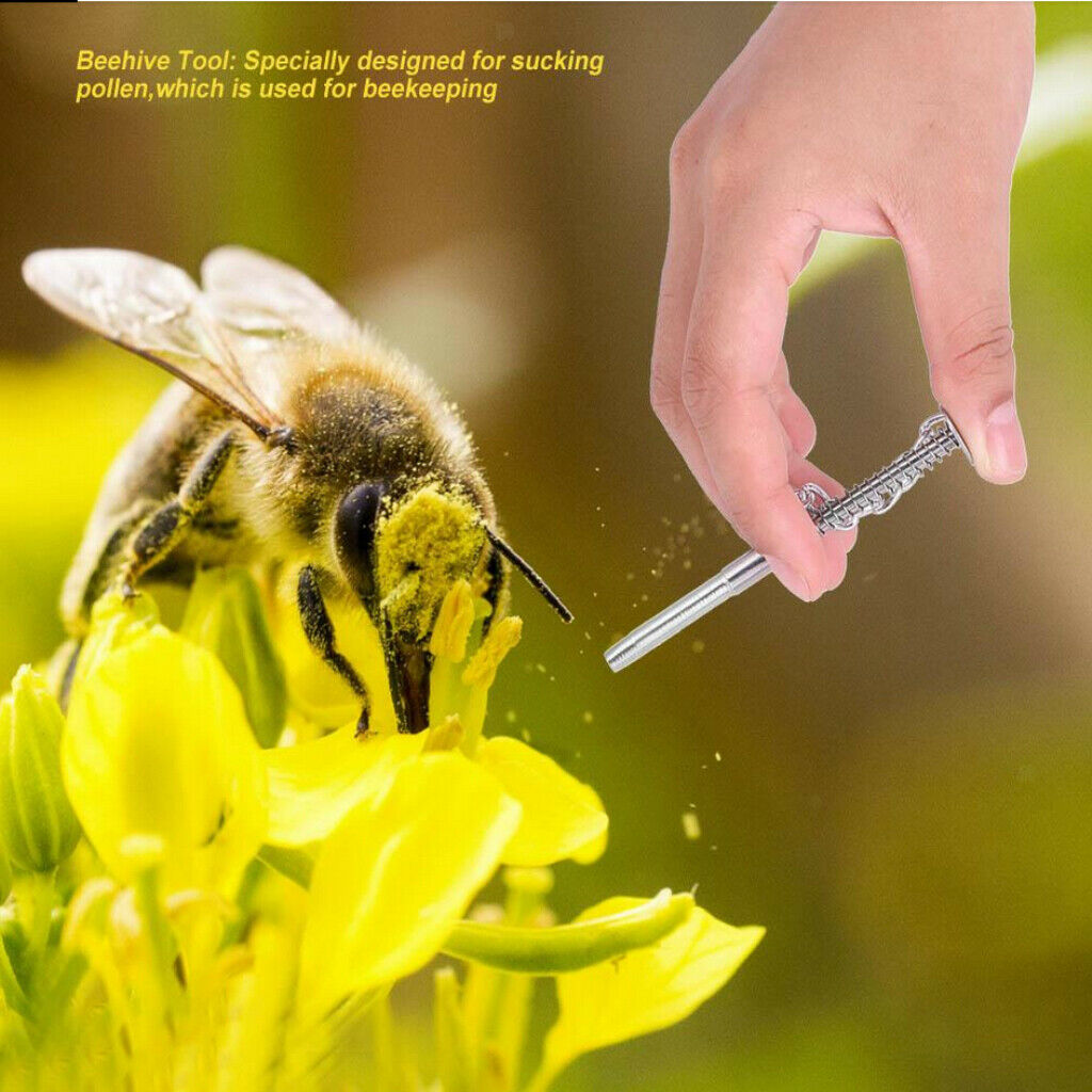 Bee Tools Professional Beekeeping Manufacturer Beekeeping Tool Handle Plloen