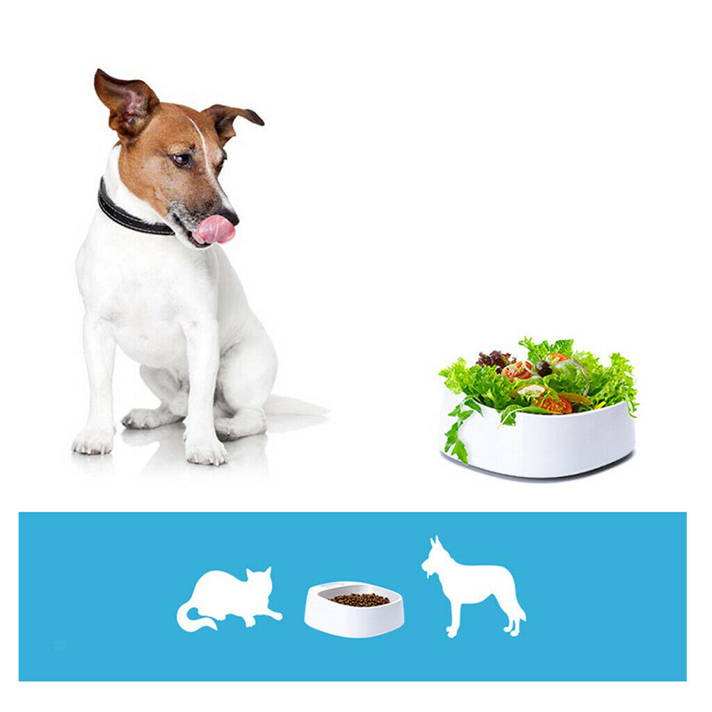 Smart Digital Automatic Pet Feeder Cats Dogs Auto Pet Food Dispenser (450ml