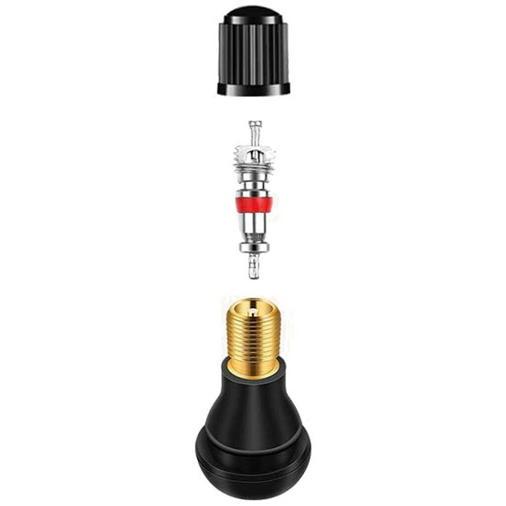 Tire Valve Stem Tool Remover with Valve Stem Cores for Motorcycle Bicycle