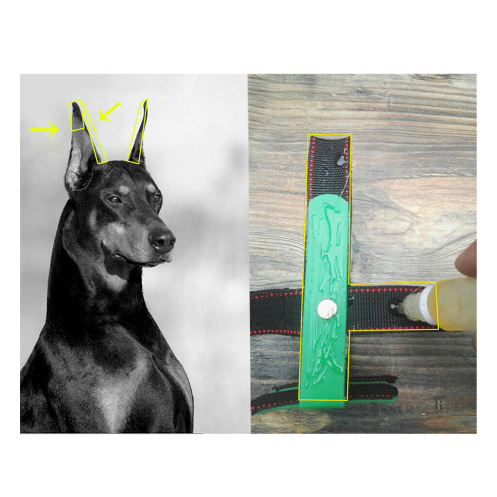 2pcs Pet Dog Ear Care Tools Ear Erect Standing Up Tools + Ear Stickers for