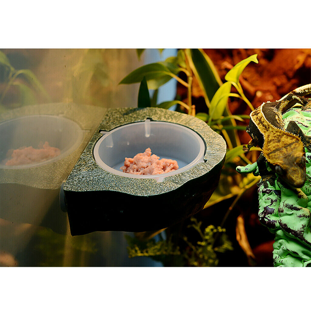 2pcs Mini Magnetic Feeding Ledge Feeder For Gecko Diet, Food or Water Green