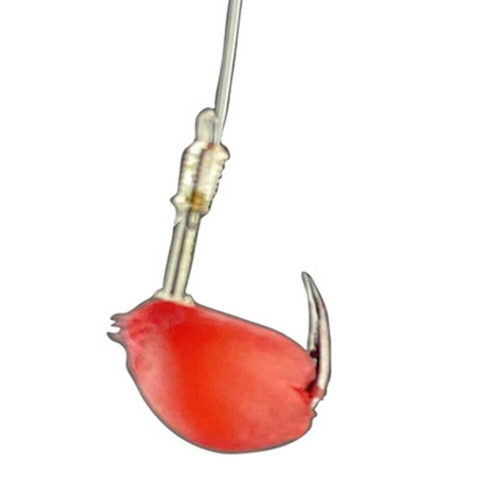 Durable Natural Blood Wheat Crankbaits Hooks Fishing Lures Carp Wheat Baits