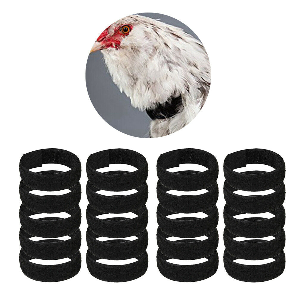 20Pieces Rooster Collar Anti Crow Prevent Rooster from Screaming For Chicken