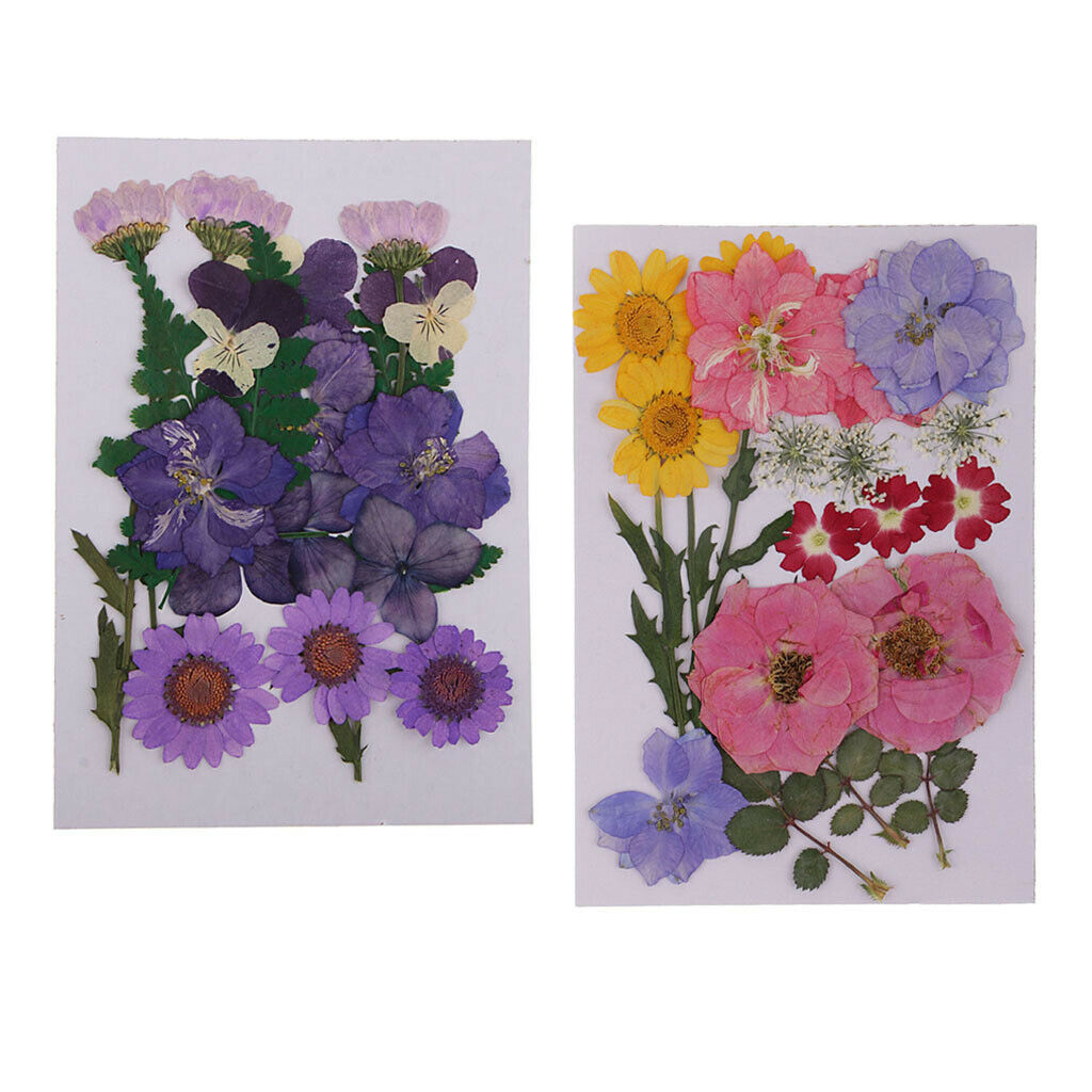 2pack Real Dried Flowers Leaves Embellishments Soap/Candle Filling Decors