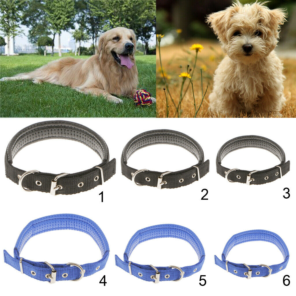 Adjustable Padded Nylon Pet Puppy Dog Basic Collar Safety Neck Strap Blue_S