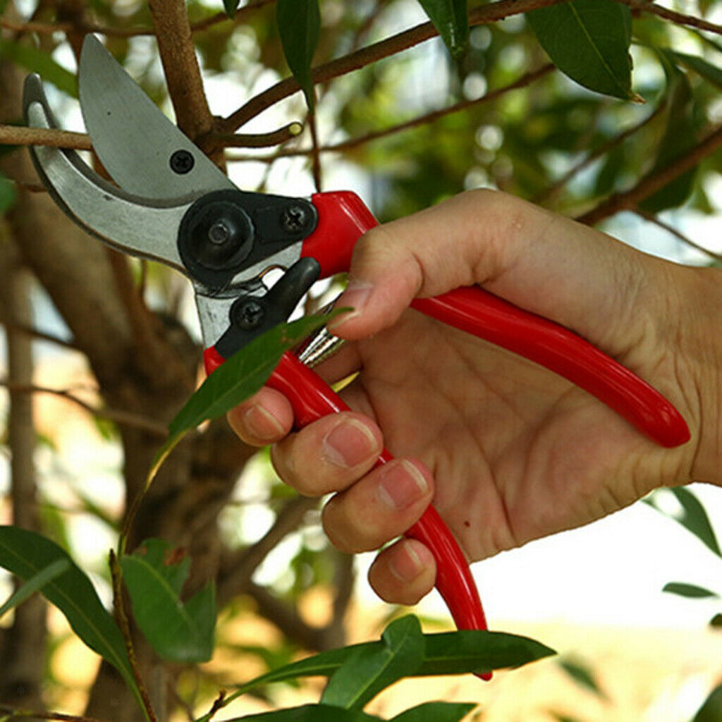 8'' Strong Carbon Steel Garden Shears Cutters Secateurs Plant Pruning Trim