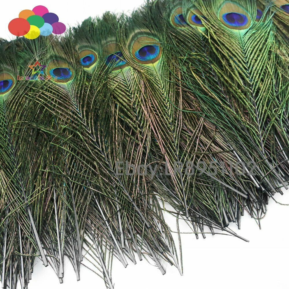 100pcs 25-30 cm Beautiful Black Peacock Tail Feathers Eyes Decorations Art Dress