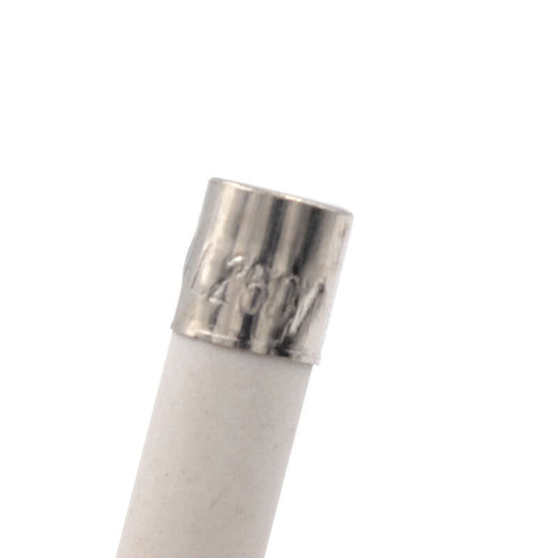 10pcs Microwave Ceramic Fuse Electric 20A 250V Home Supplies DIY 6x30mm