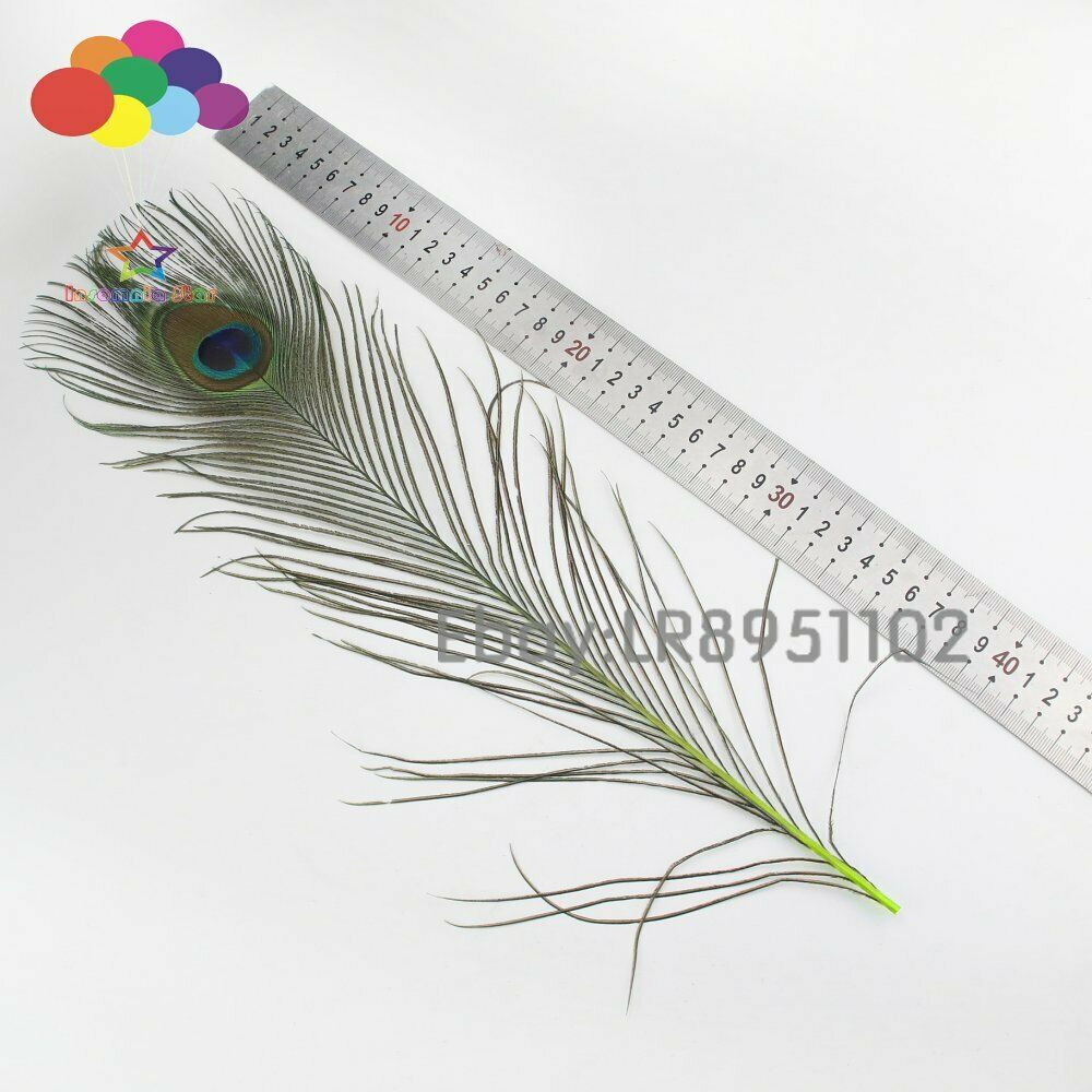 100 PCS Fluorescent peacock feathers dyed 40 to 45 centimeters 16 to 18 inches