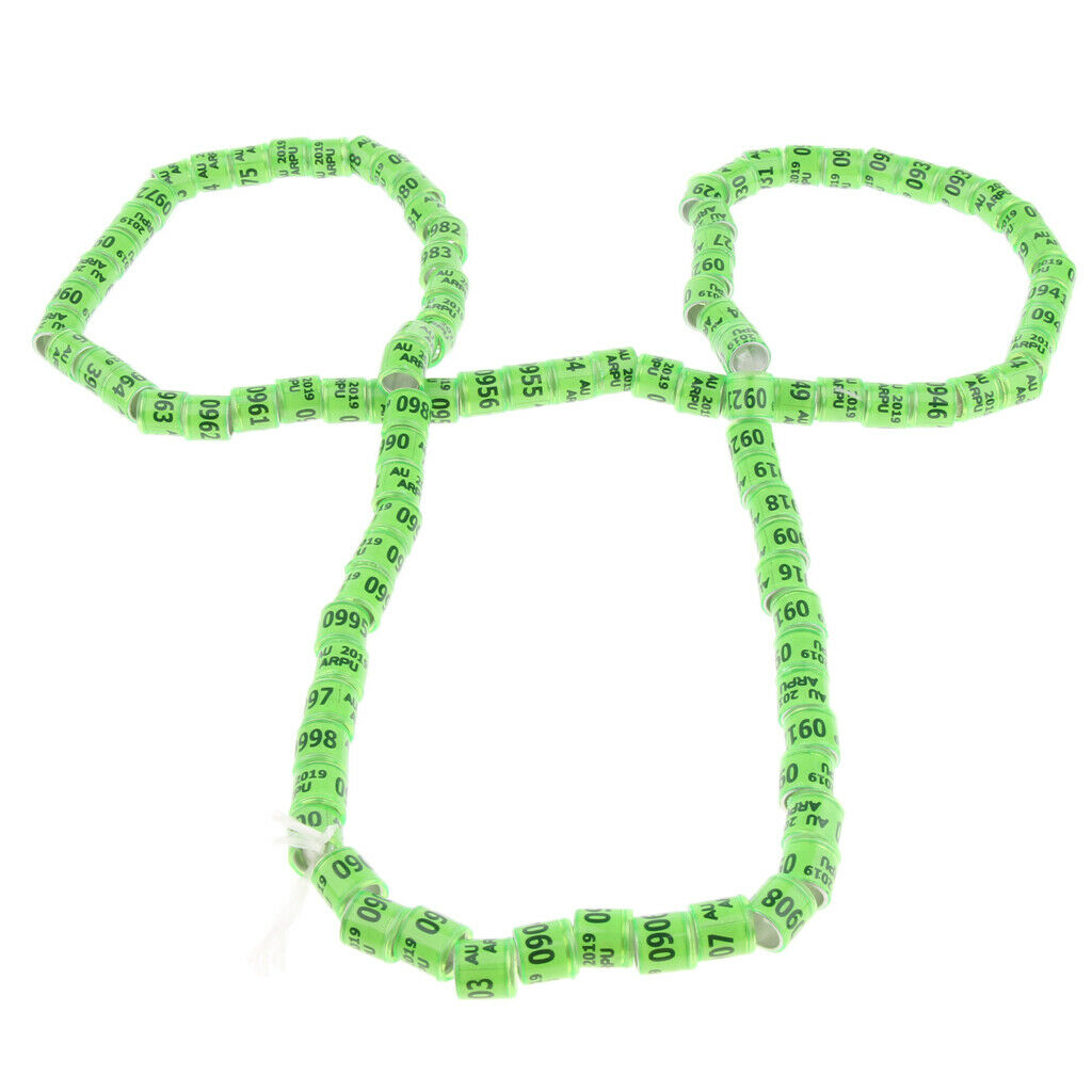 Bird Rings Leg Bands For Pigeon Parrot Canary Hatch Poultry Foot Band Green