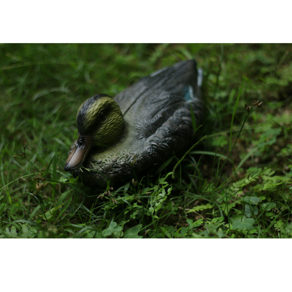 Floating Bird Male Duck Wild Hunting Decoy Garden Pond Weed Pest Control #1
