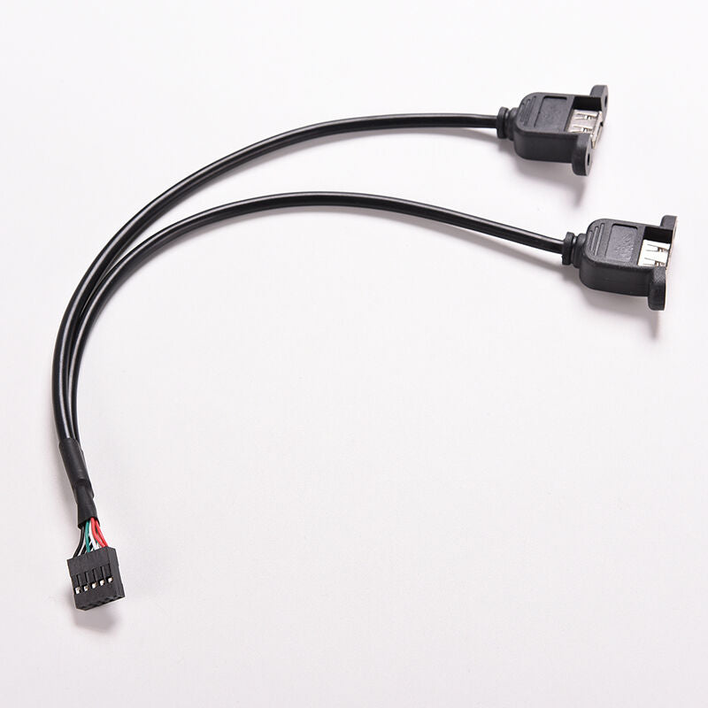 New Black 30cm/1FT 2 Port USB A Female to Internal 9 Pin Header Adapter C.l8