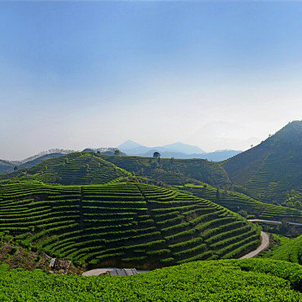 250G/BAG SUPERIOR CHINESE TIEGUANYIN FRESH SCENT LOOSE LEAF OOLONG TEA HEALTH