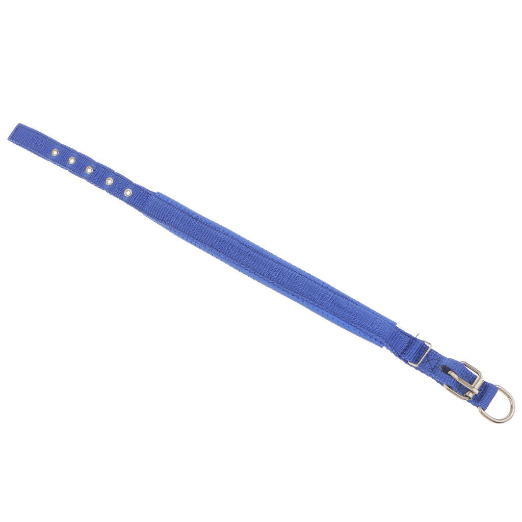Adjustable Padded Nylon Pet Puppy Dog Basic Collar Safety Neck Strap Blue_S