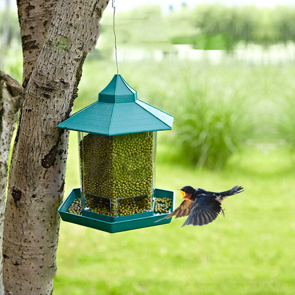 Bird Feeder Clear Garden Decoration Gazebo Wild Bird Feeder Panorama Plastic