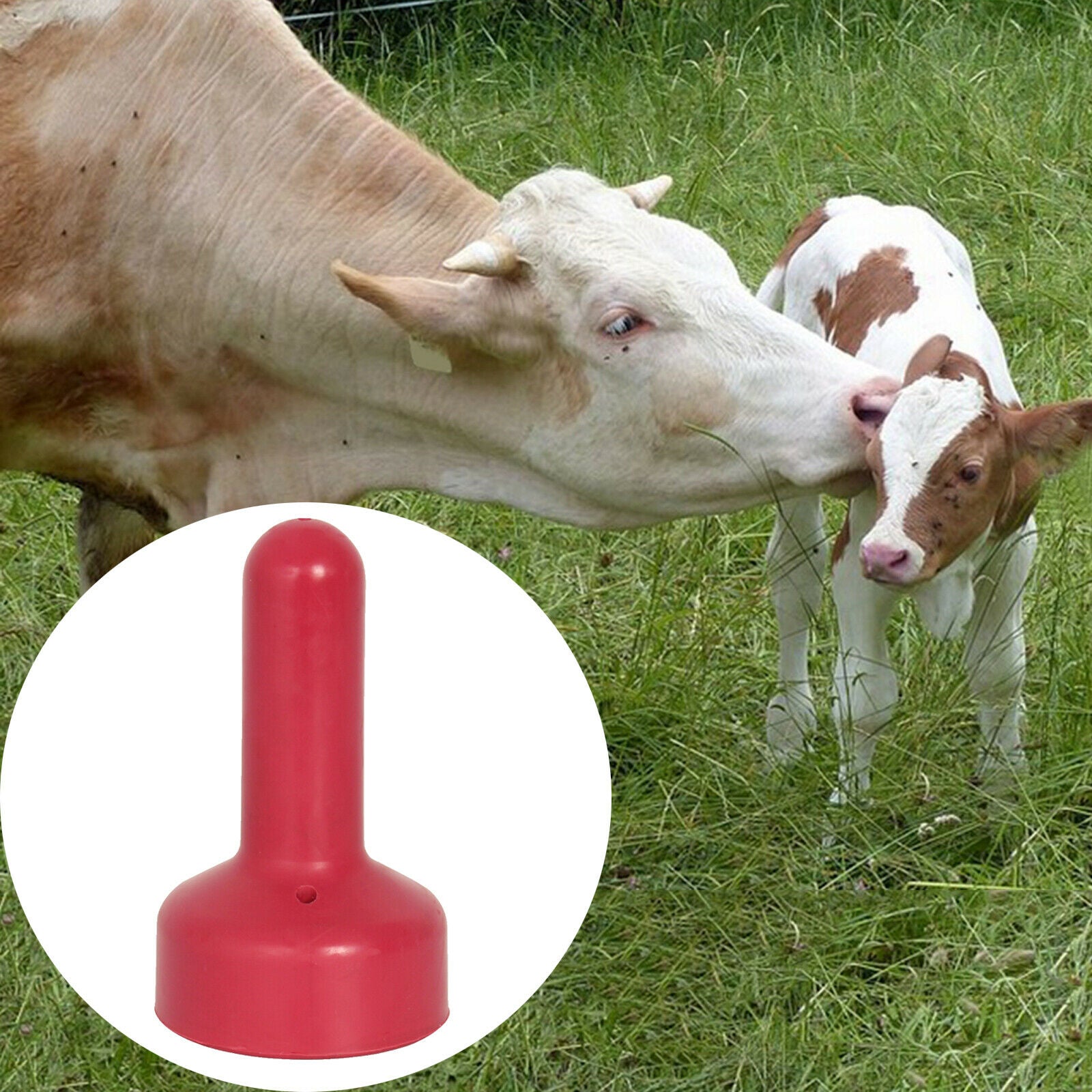 Rubber Livestock Nipple Soft Milk Nipple for Cattle Livestock 10.7x6.2cm