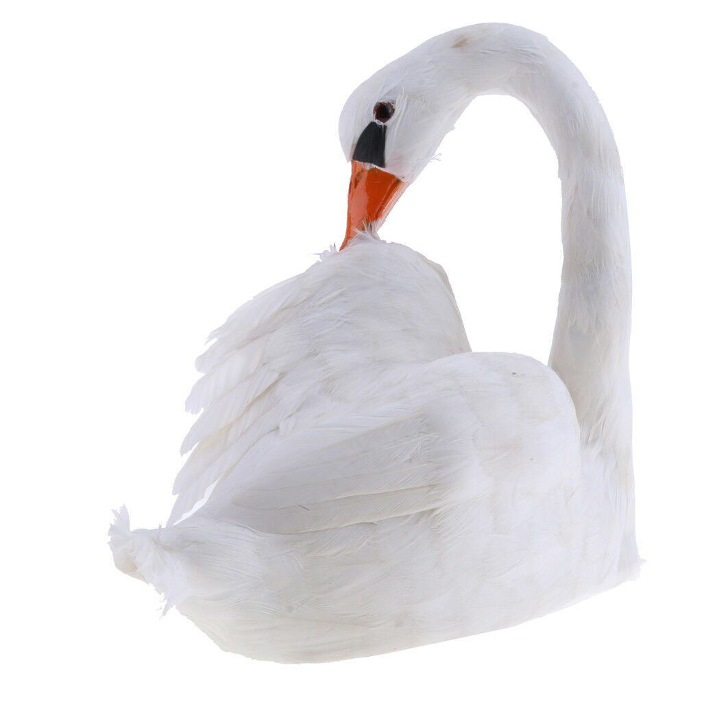 White Swan Realistic Sculpture Outdoor Lawn Garden Statue Pond Decor #4