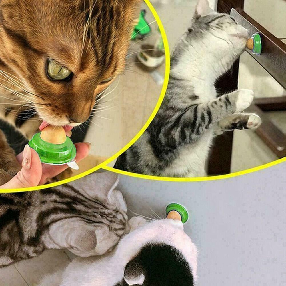 Pets Licking Fun Cat Candy Kitten Licking Toys Various Catnip K4O4 Of new