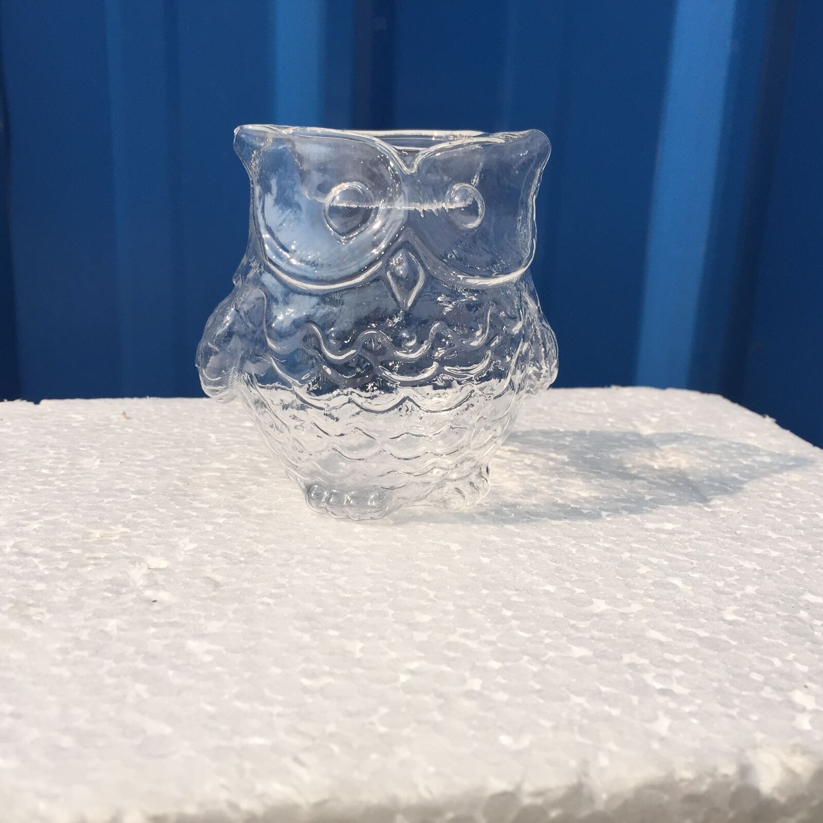 Glass Flower Planter Hydroponic Vase Terrarium Container