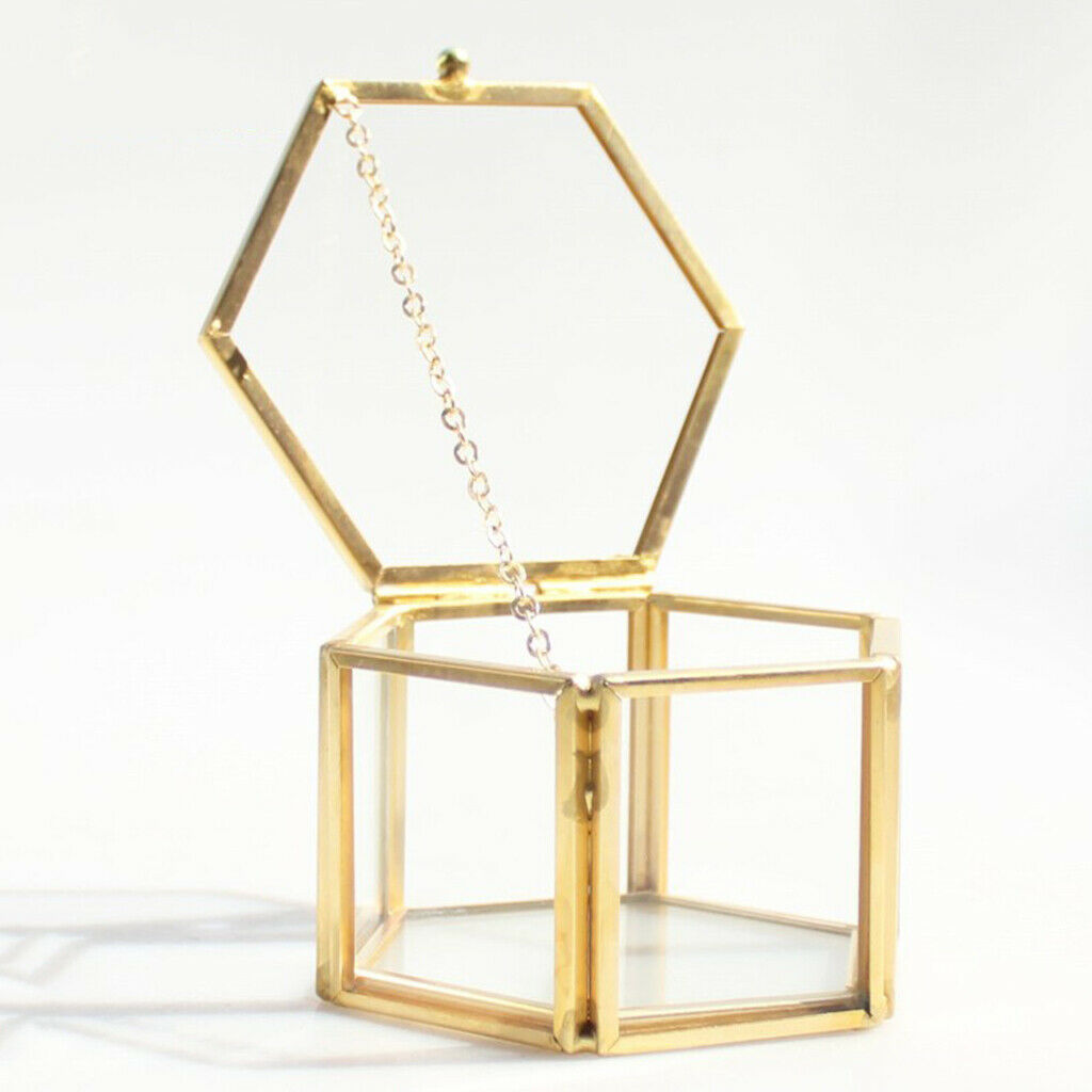 2 Pieces Modern Glass and Brass Cube Shaped Tabletop Succulent Plant Terrarium