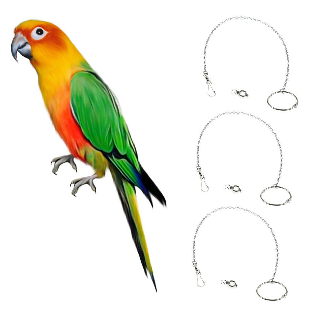 3x Stainless Steel Parrot Eight Bird Anklet Foot Chain