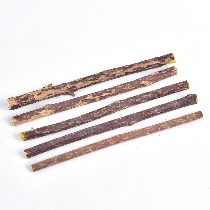 5PCS Cat cleaning teeth silvervine actinidia cat snacks sticks tooth c_.l8
