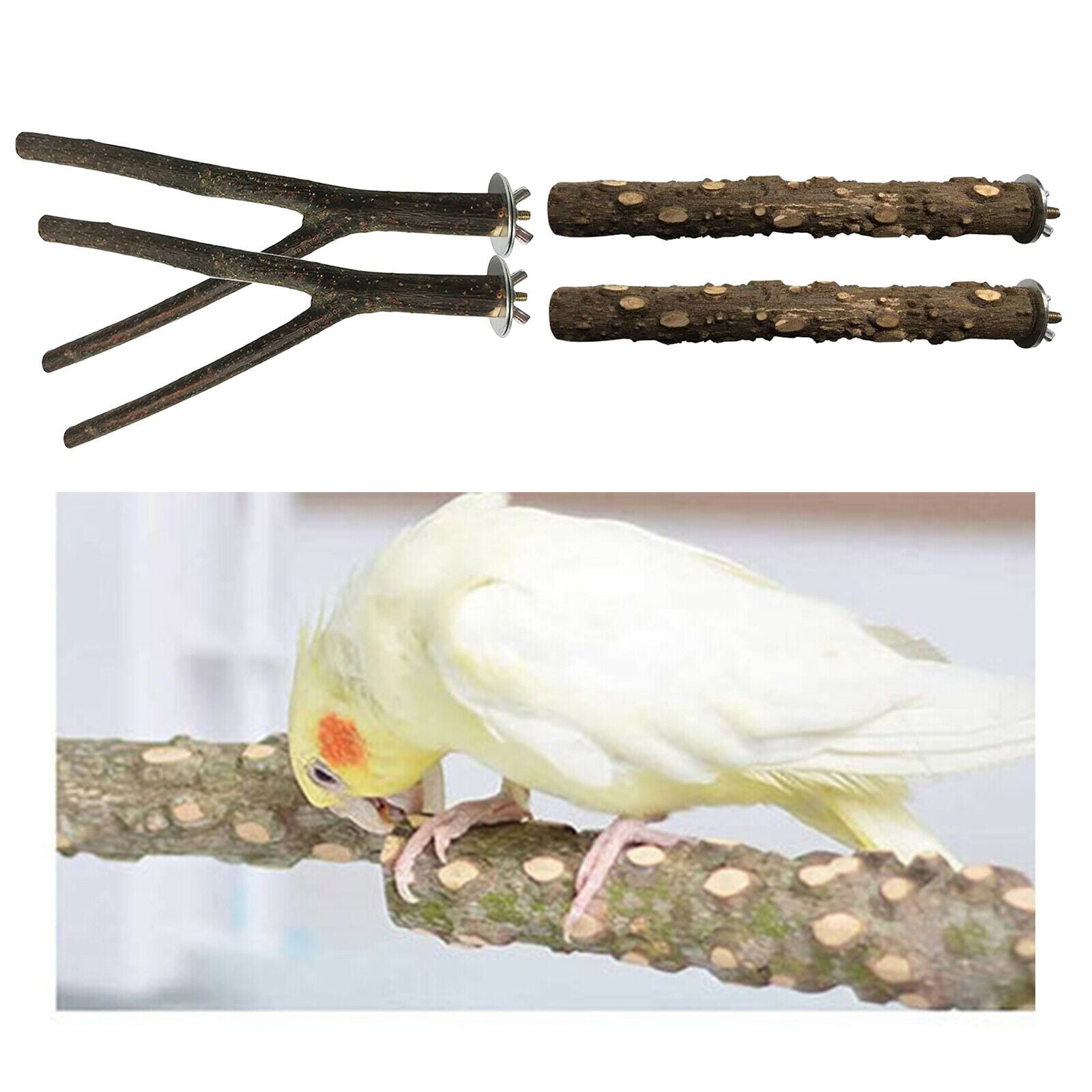 4pcs/set Parrot Bird Stand Tree Branch Platform Toys Perch Climbing Grinding