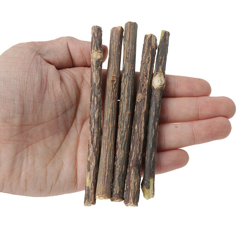 5x Cat Cleaning Teeth Pure Natural Catnip Stick Pet Molar Toothpaste Snac.l8