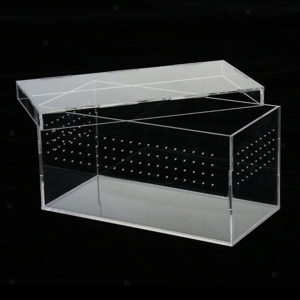 Acrylic Reptiles Terrarium Container Ideal for Reptiles or Amphibians ,Clear,