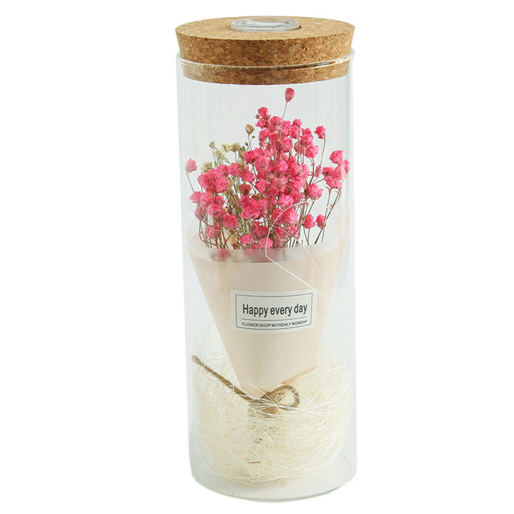 Creative Gypsophila Flowers Glass Jar Cover Landscape LED Light Decor Pink