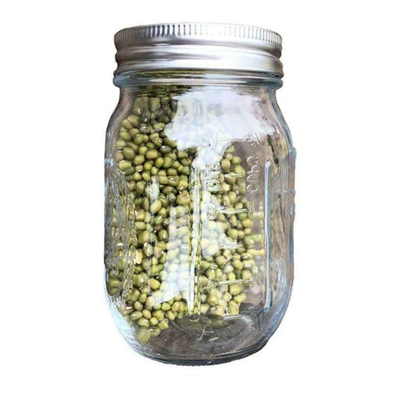 Sprouting Jar with Stainless Steel Screen Lid Wide Mouth Quart Mason Sprouter