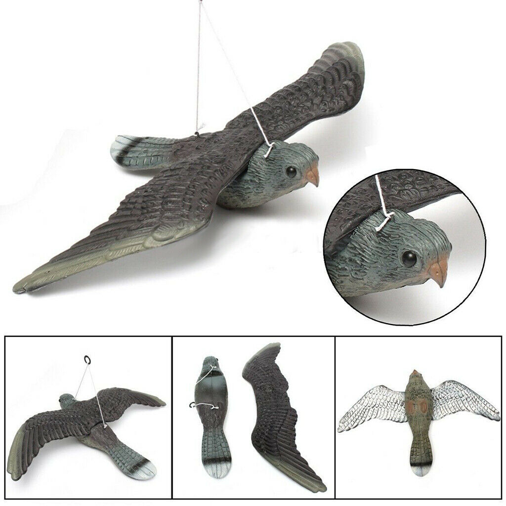 Crow Lure Falco Realistic Hunting Control Pests Garden Scarer Scarecrow