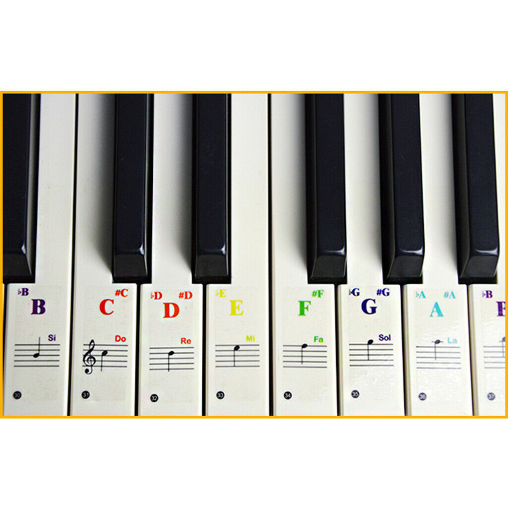 Piano & Keyboard Stickers for 37/54/61/88 Transparent Learning Practice