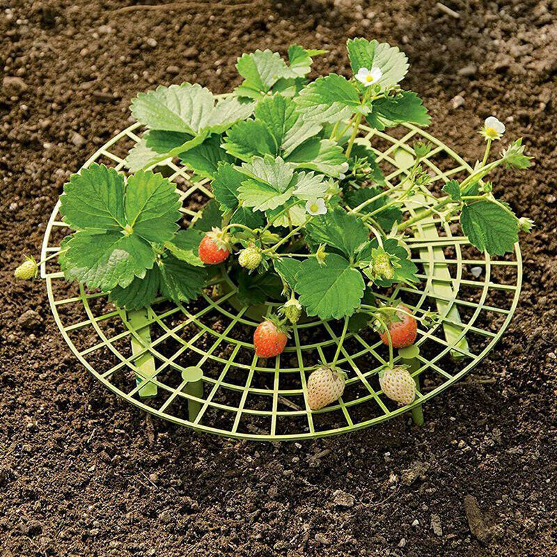3pack Strawberry Frame Holder Balcony Planting Rack Support Climbing Vine StBDA