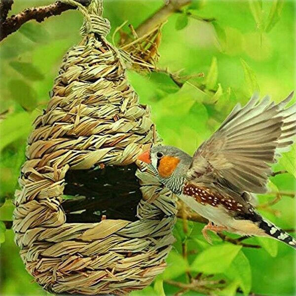 2 Pack Grass Bird Hut Bird House House Hanging Bird Nest Fiber Hand-Woven BirdJ9