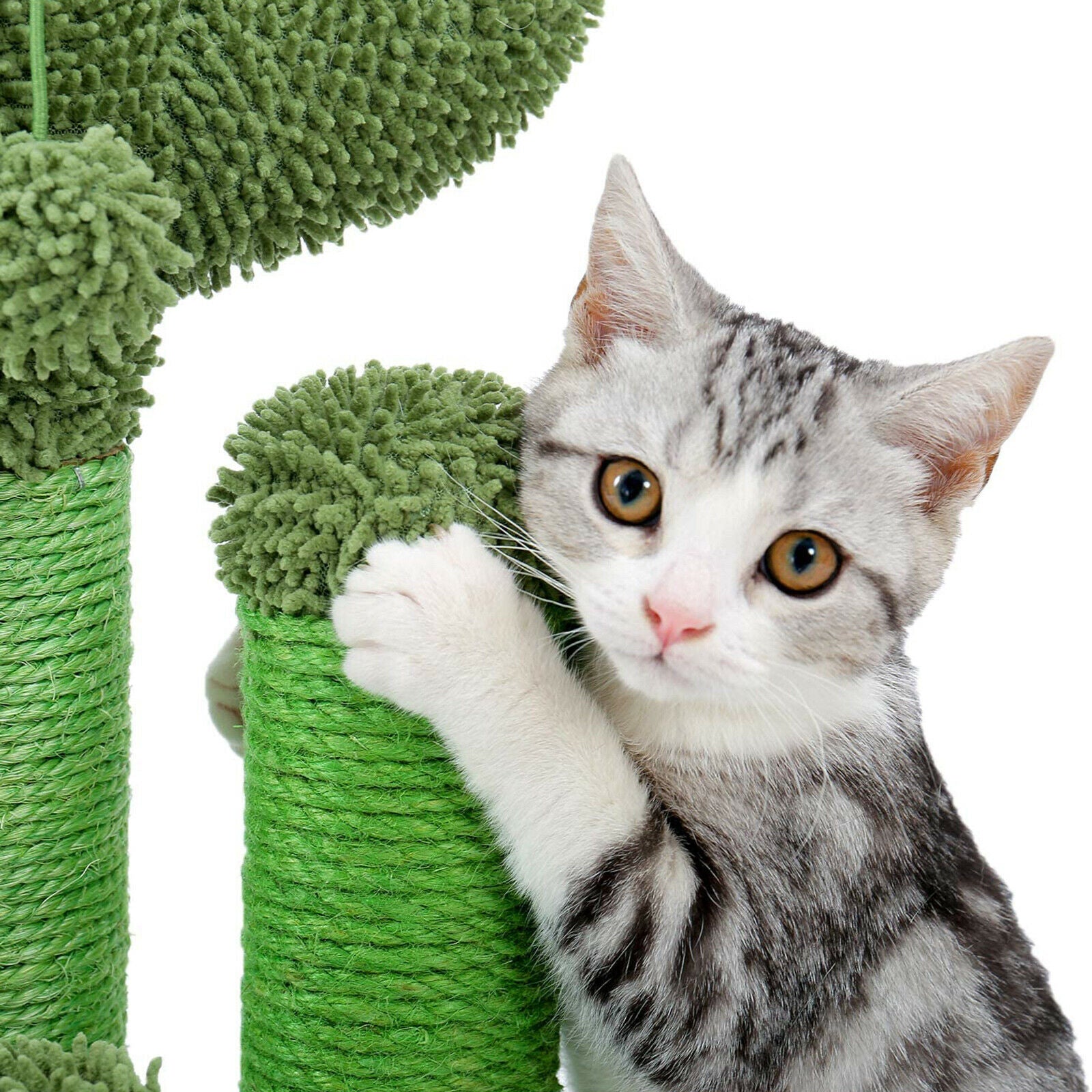 Cat Scratching Post Fresh Green Sisal Rope Wrapped Pole Scratcher Poles