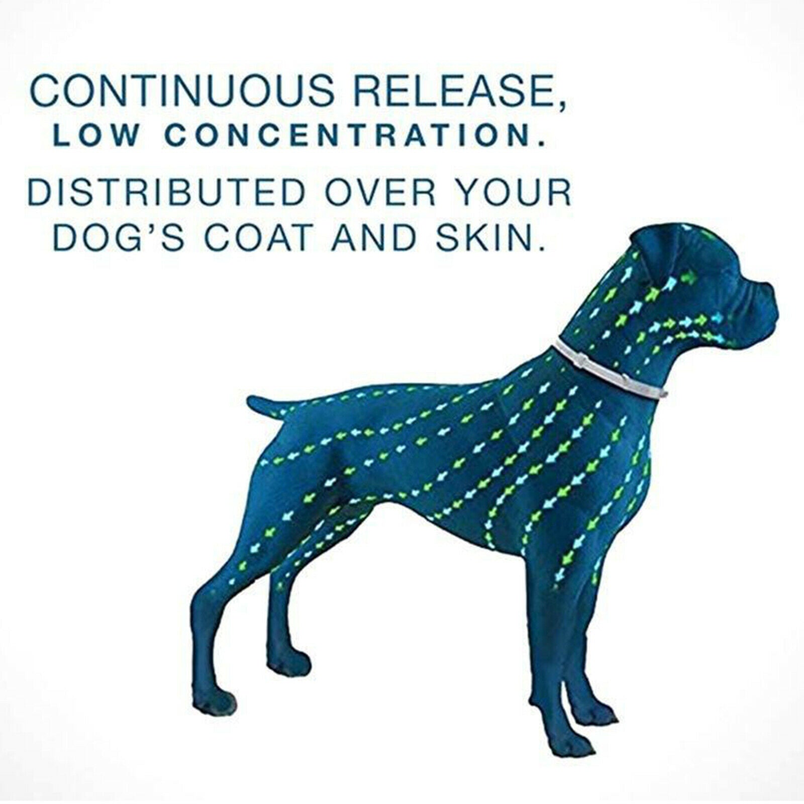 Dog Cat Flea and Tick Collar Prevention Natural Waterproof White for Dog